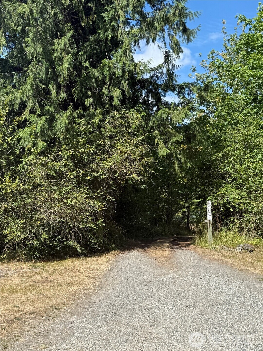 3925 Harts Lake Road S, Roy, WA 98580