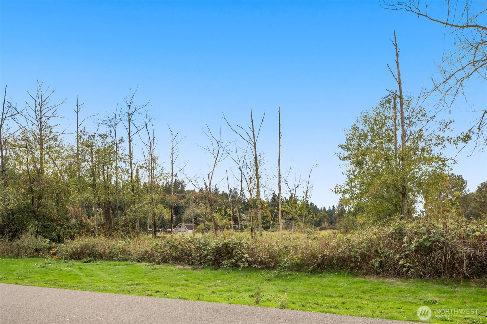 82 Ct NE 175th Street, Kenmore, WA 98028
