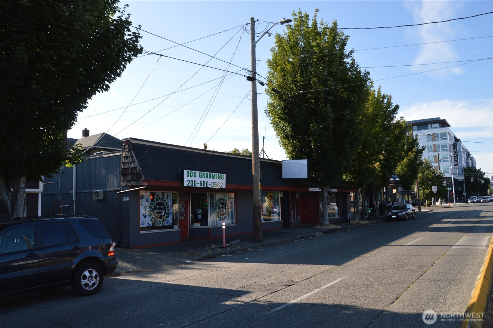 8337 8339 15th Avenue NW, Seattle, WA 98117
