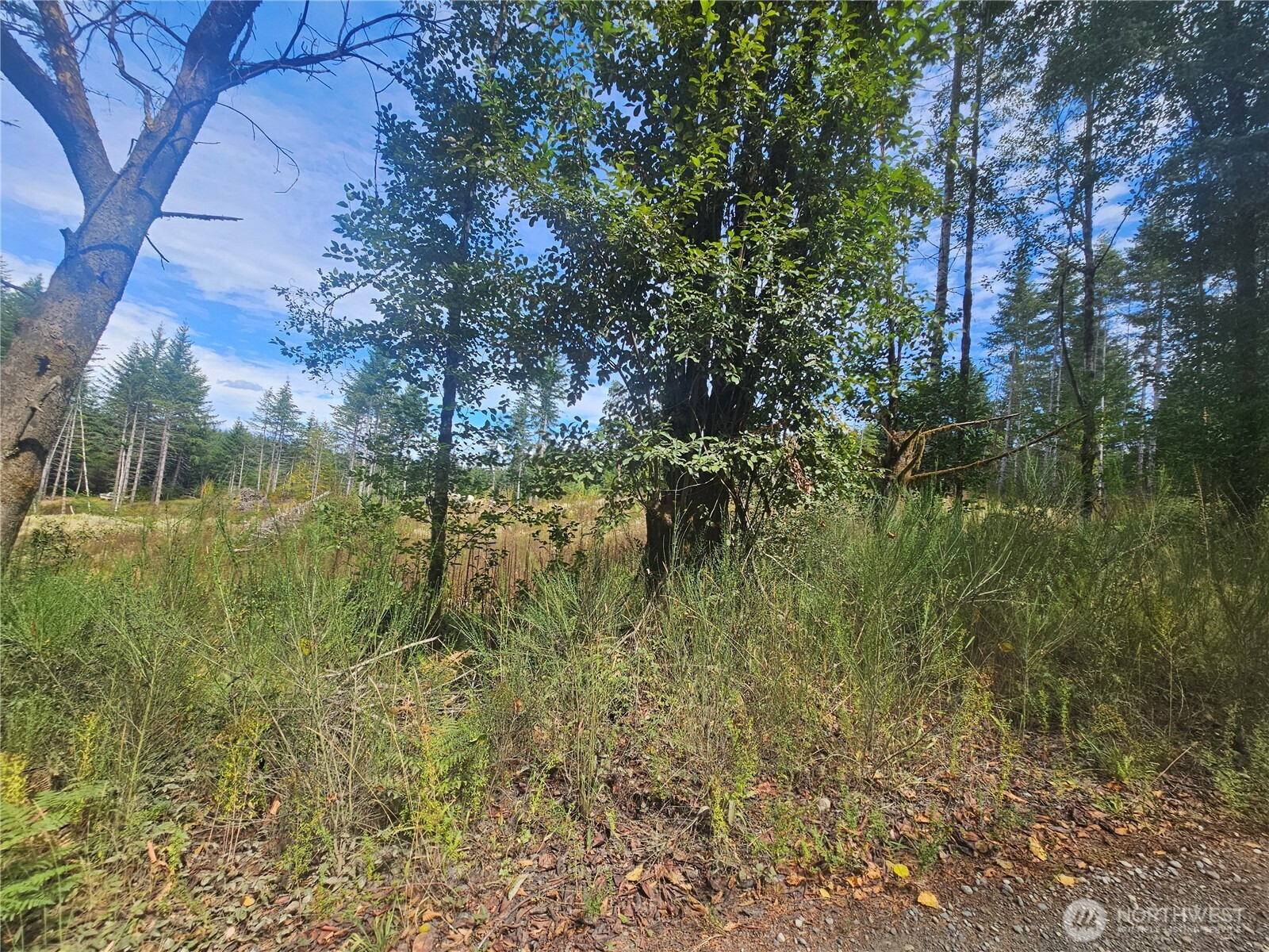 91 E Joyce Lane, Belfair, WA 98528