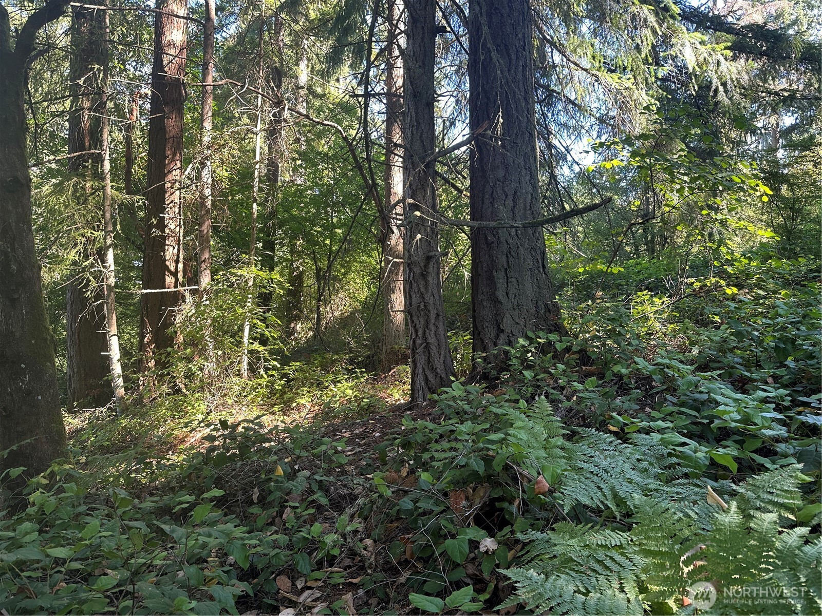0 Walnut Lane, Steilacoom, WA 98388