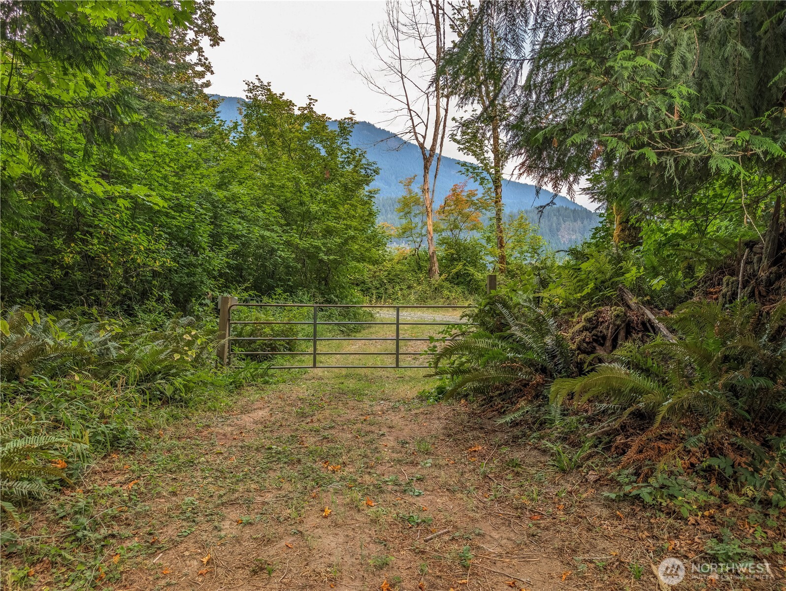167 Burton Creek Road, Randle, WA 98377