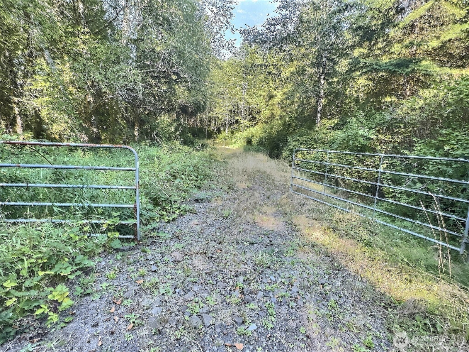 282 Butte Creek Road, Raymond, WA 98577