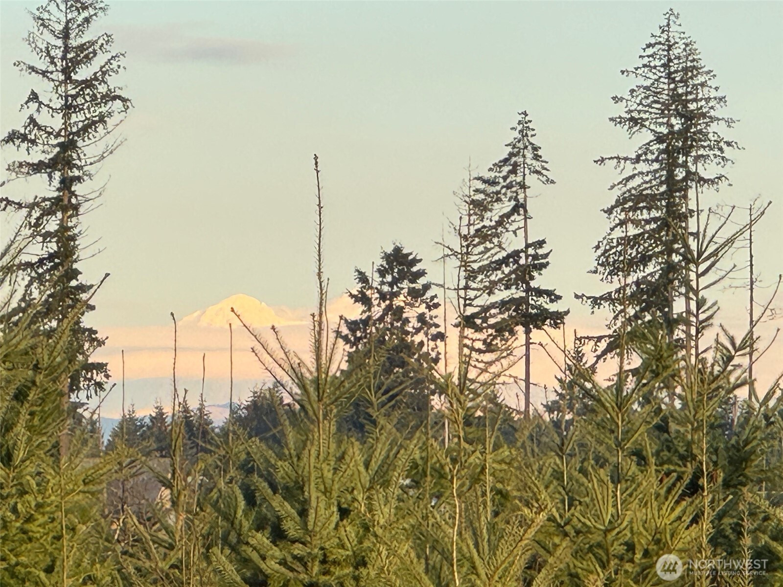 380 Hawkins Road, Winlock, WA 98565