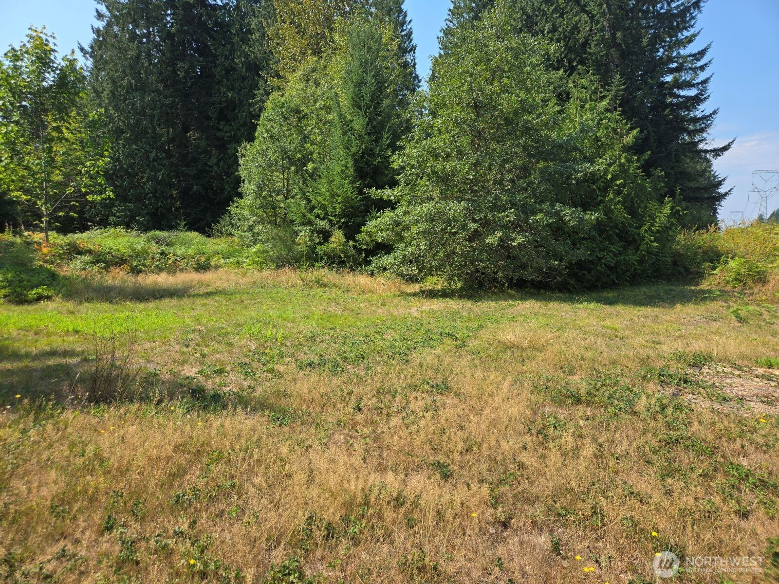 9905 212th Street SE, Snohomish, WA 98296