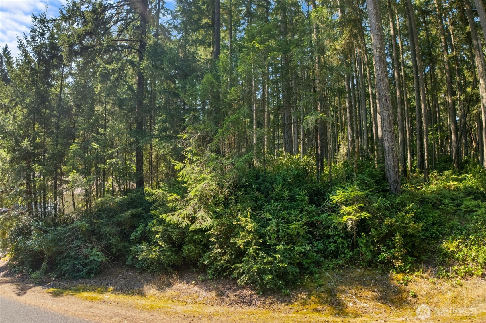 10018 Edgewood Drive, Anderson Island, WA 98303