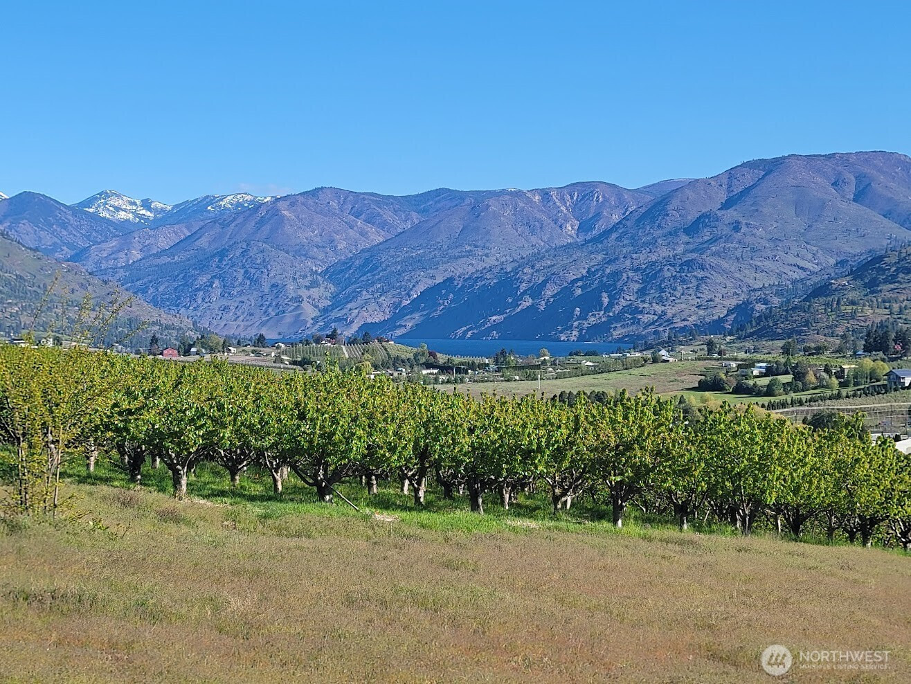 0 lots 5&6 Milan Street, Manson, WA 98831