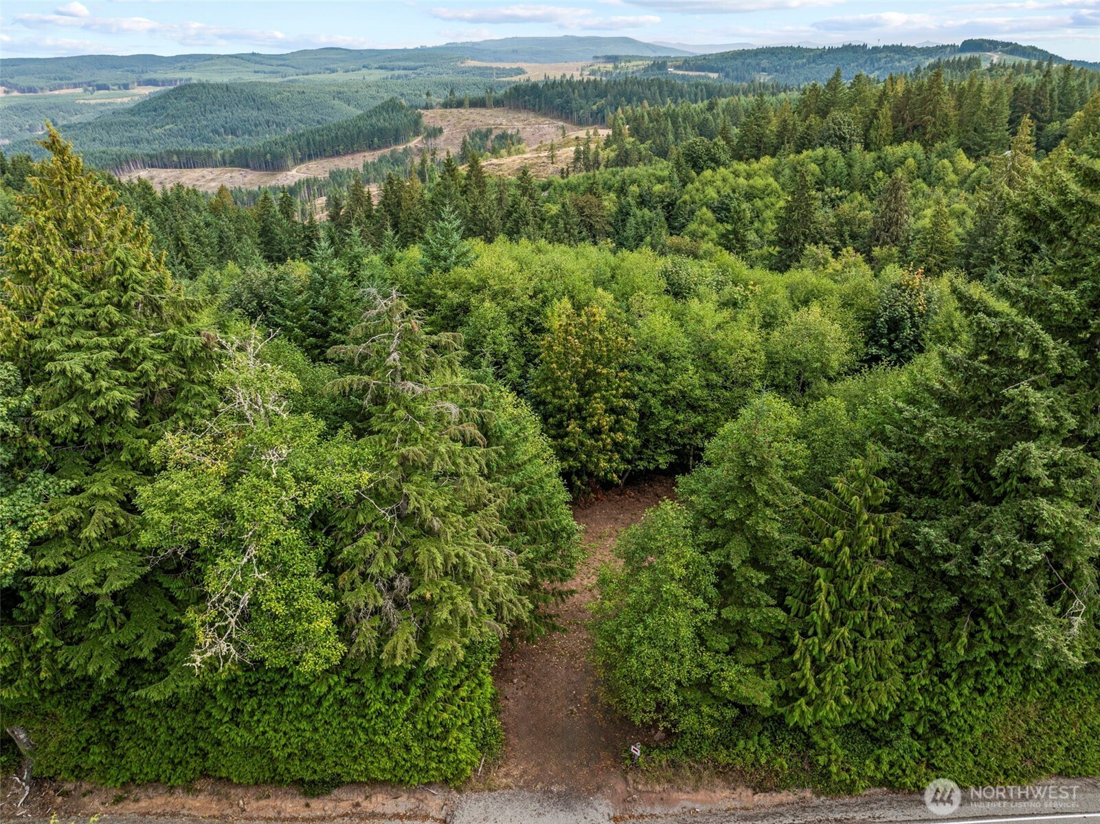 0 Mt Brynion Road, Kelso, WA 98626