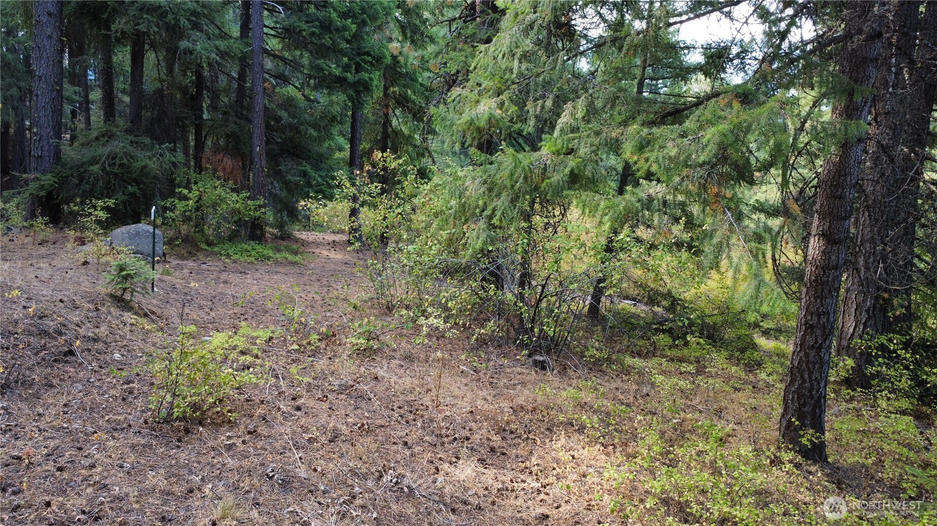 0 Highland Loop, Ronald, WA 98940