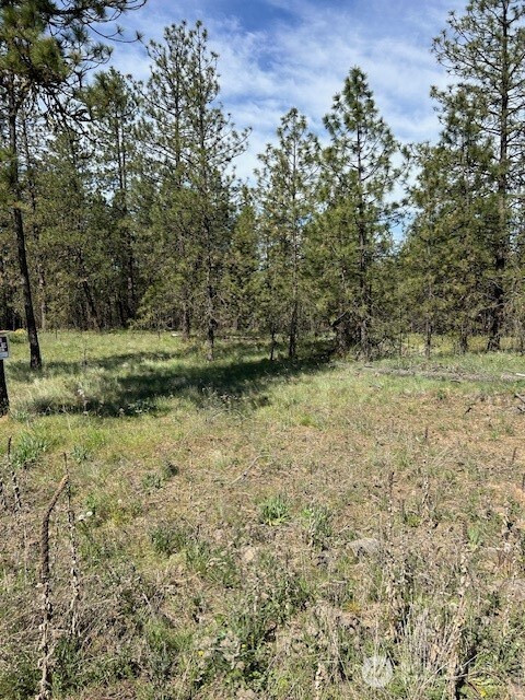 0 Rocky Ridge Road, Davenport, WA 99169