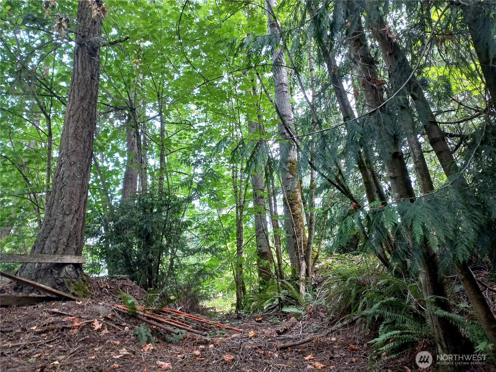 505 208th Avenue SE, Sammamish, WA 98074