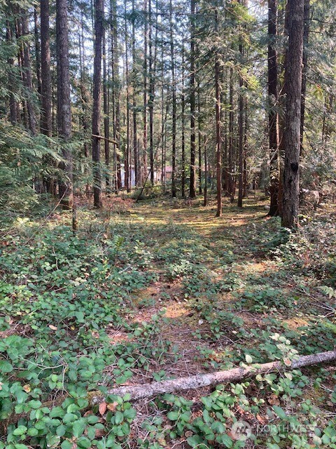 180 N Union Drive, Hoodsport, WA 98548
