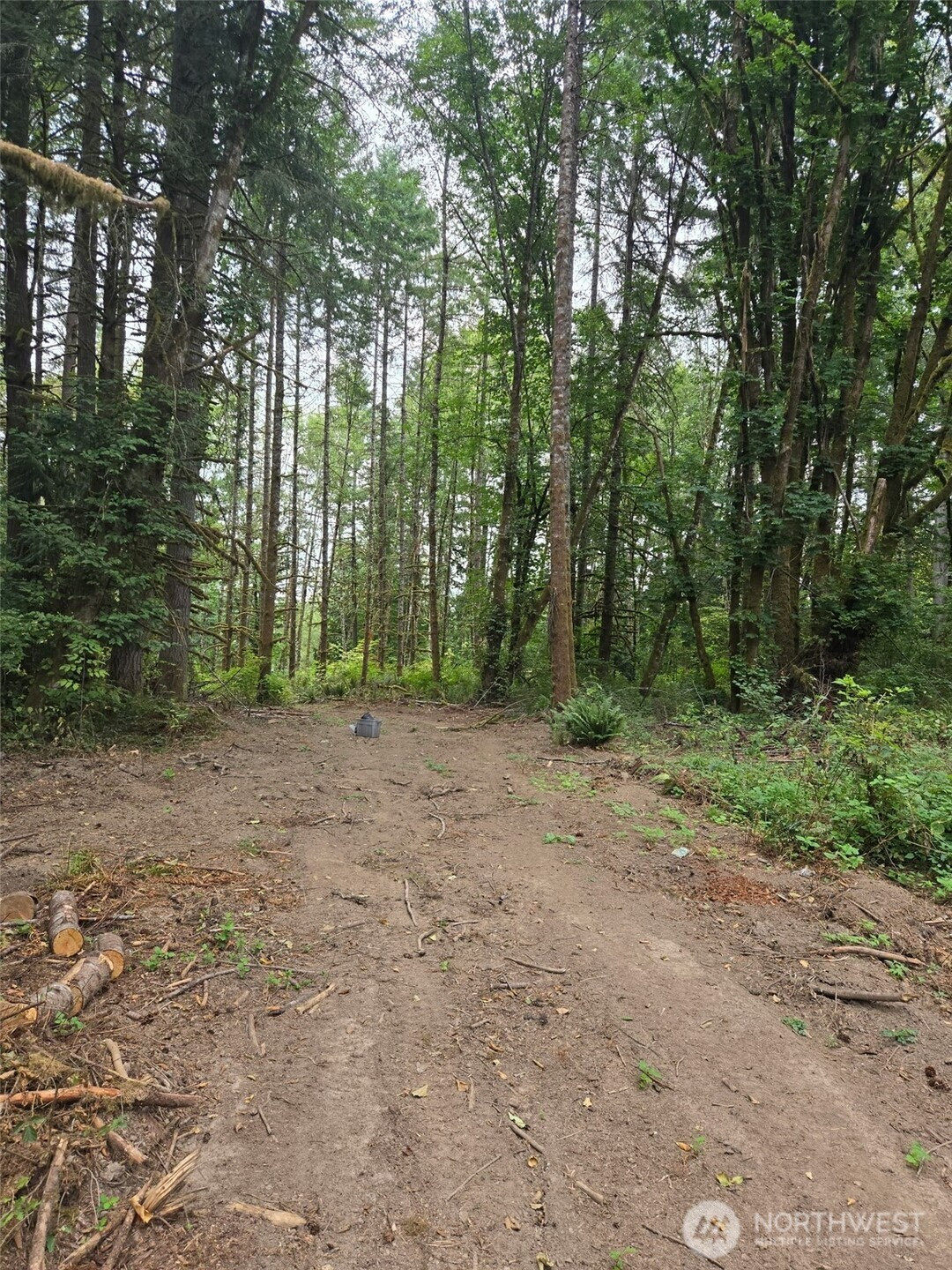 1725 Winlock Vader Road, Vader, WA 98596