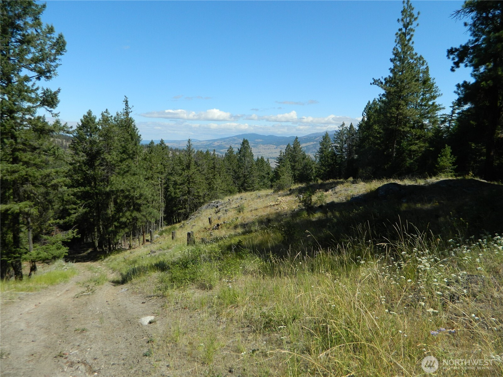 0 TBD Snowbunny Ridge Drive, Tonasket, WA 98855