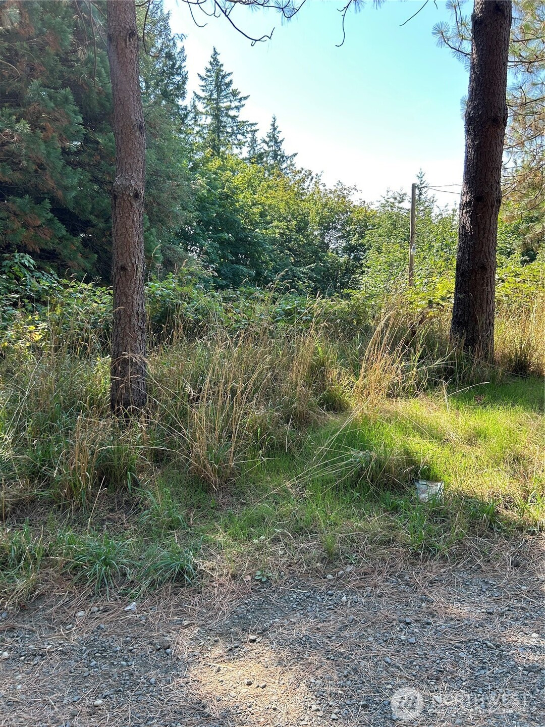 0 Hazel 001 Street, Shelton, WA 98584