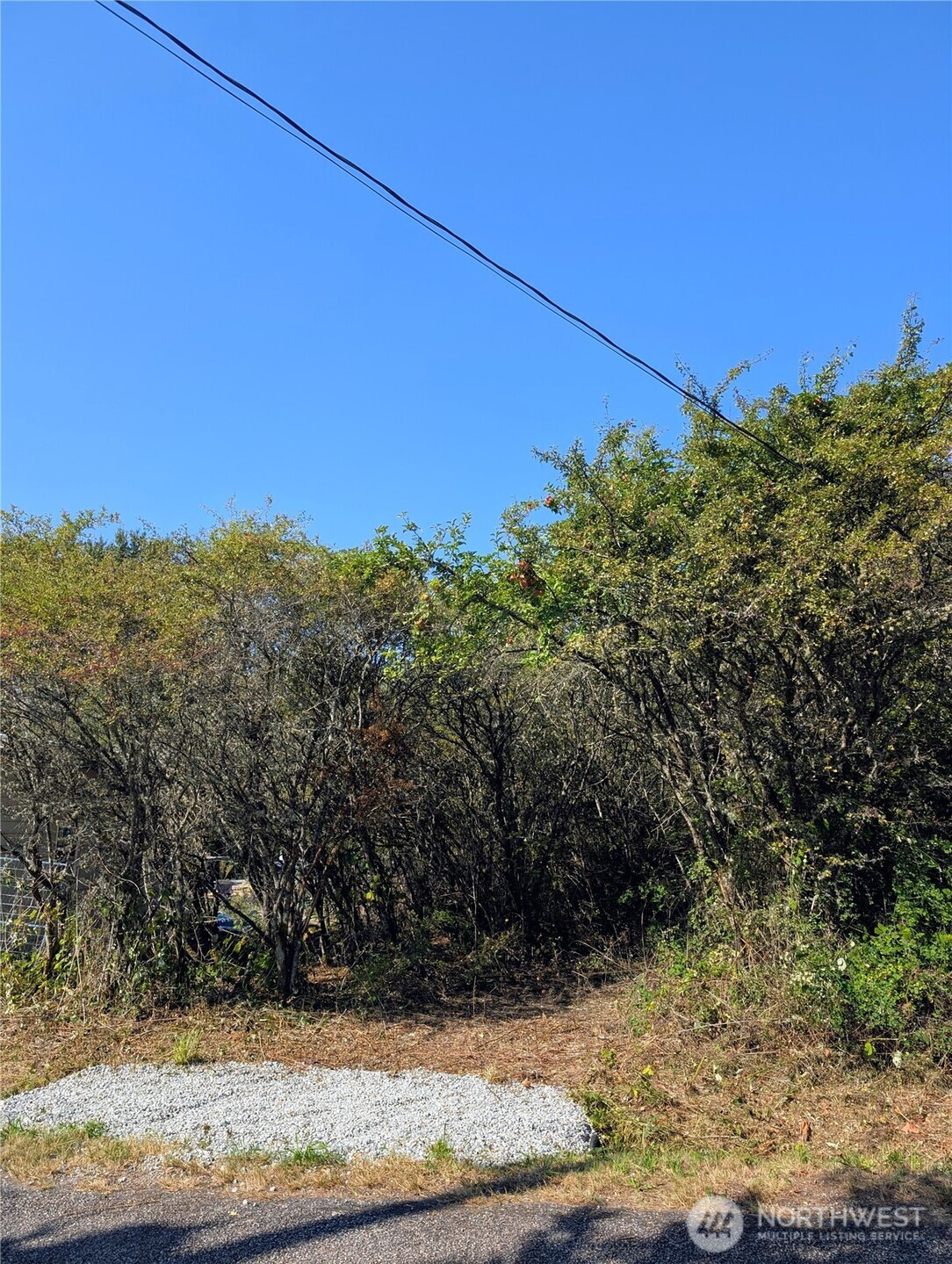 463 Marsh Road, Point Roberts, WA 98281