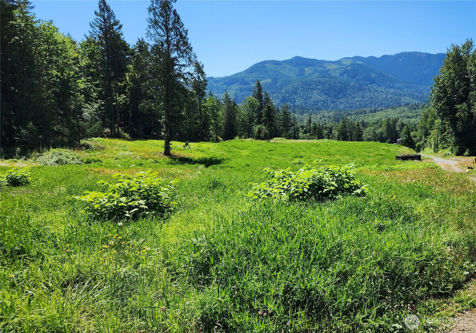 0 Reese Hill Road, Sumas, WA 98295