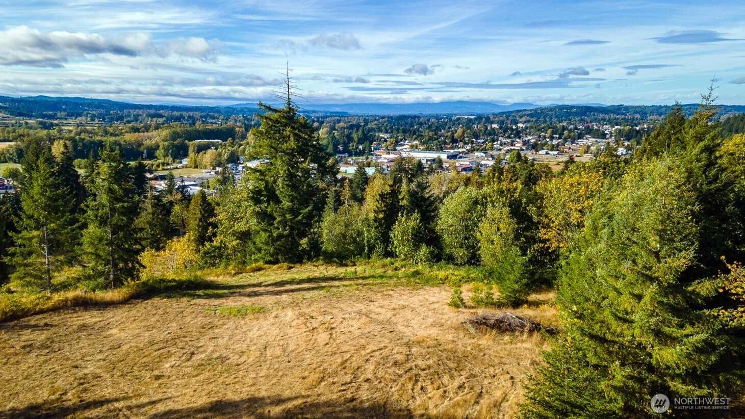 1980 Salzer Creek Drive, Centralia, WA 98531
