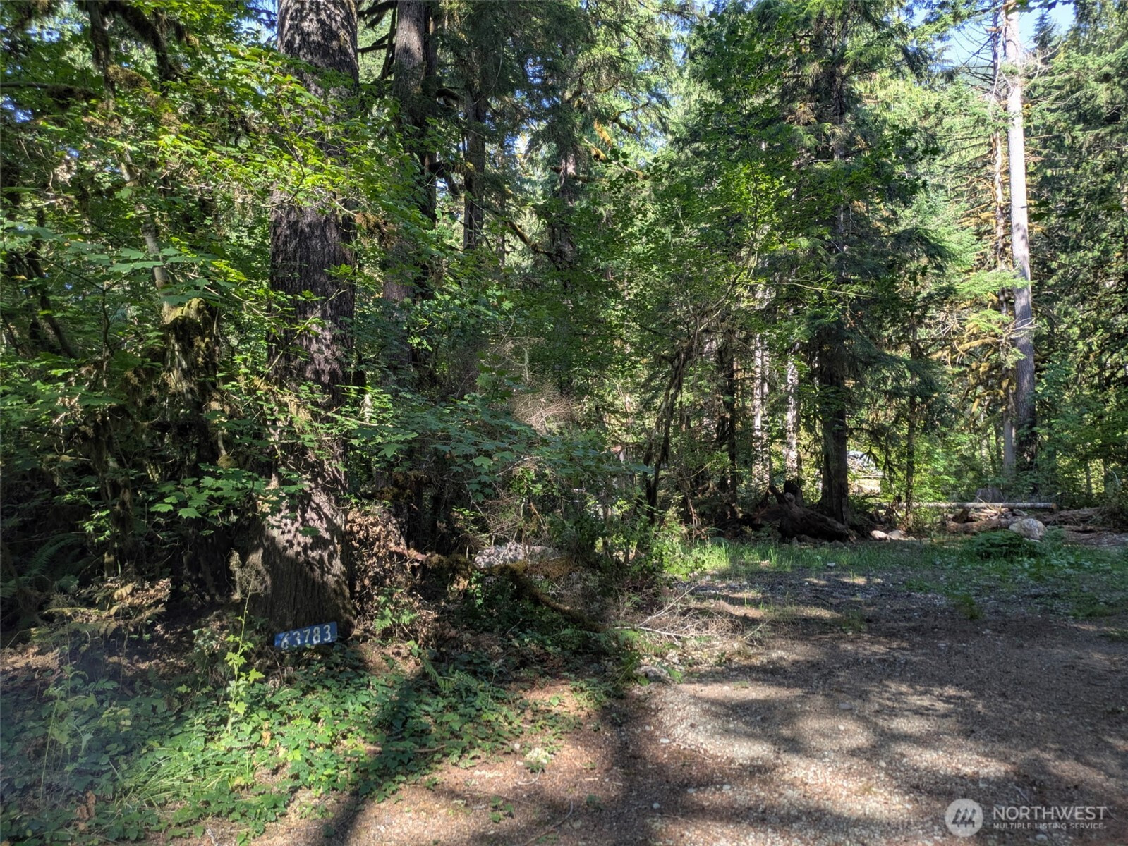 63783 W Cascade Drive, Marblemount, WA 98267