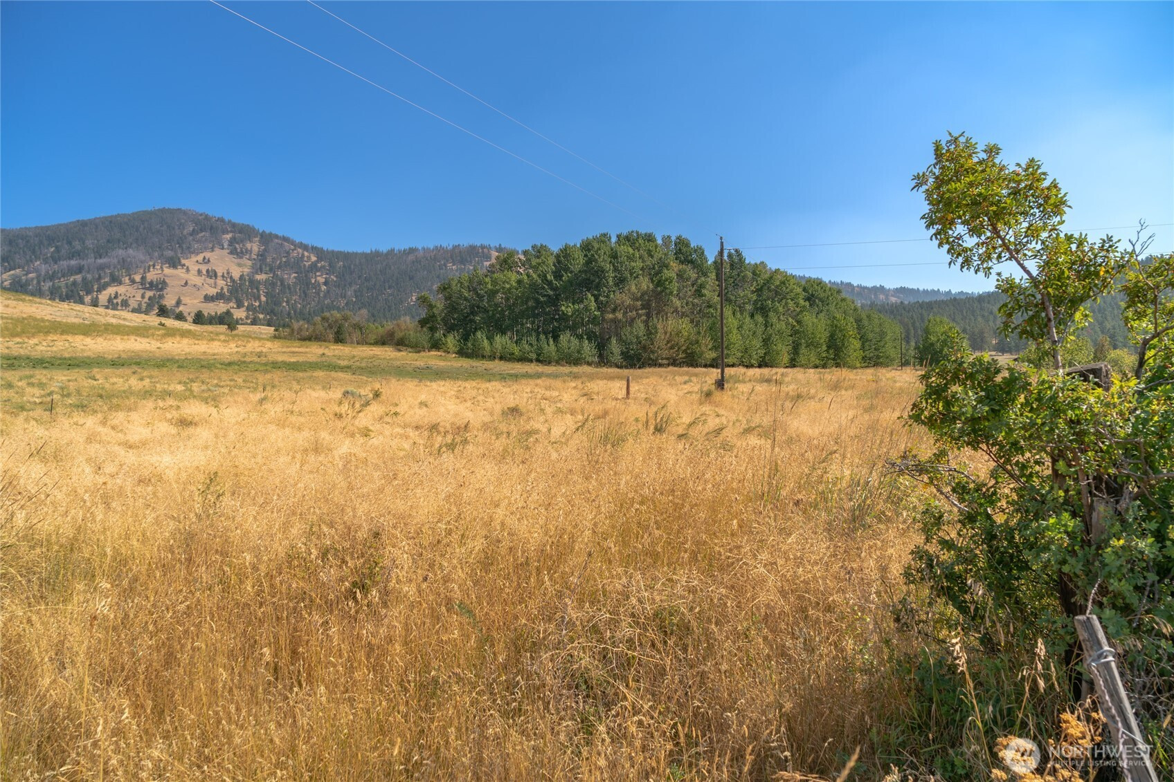 111 Fritz Road, Riverside, WA 98849