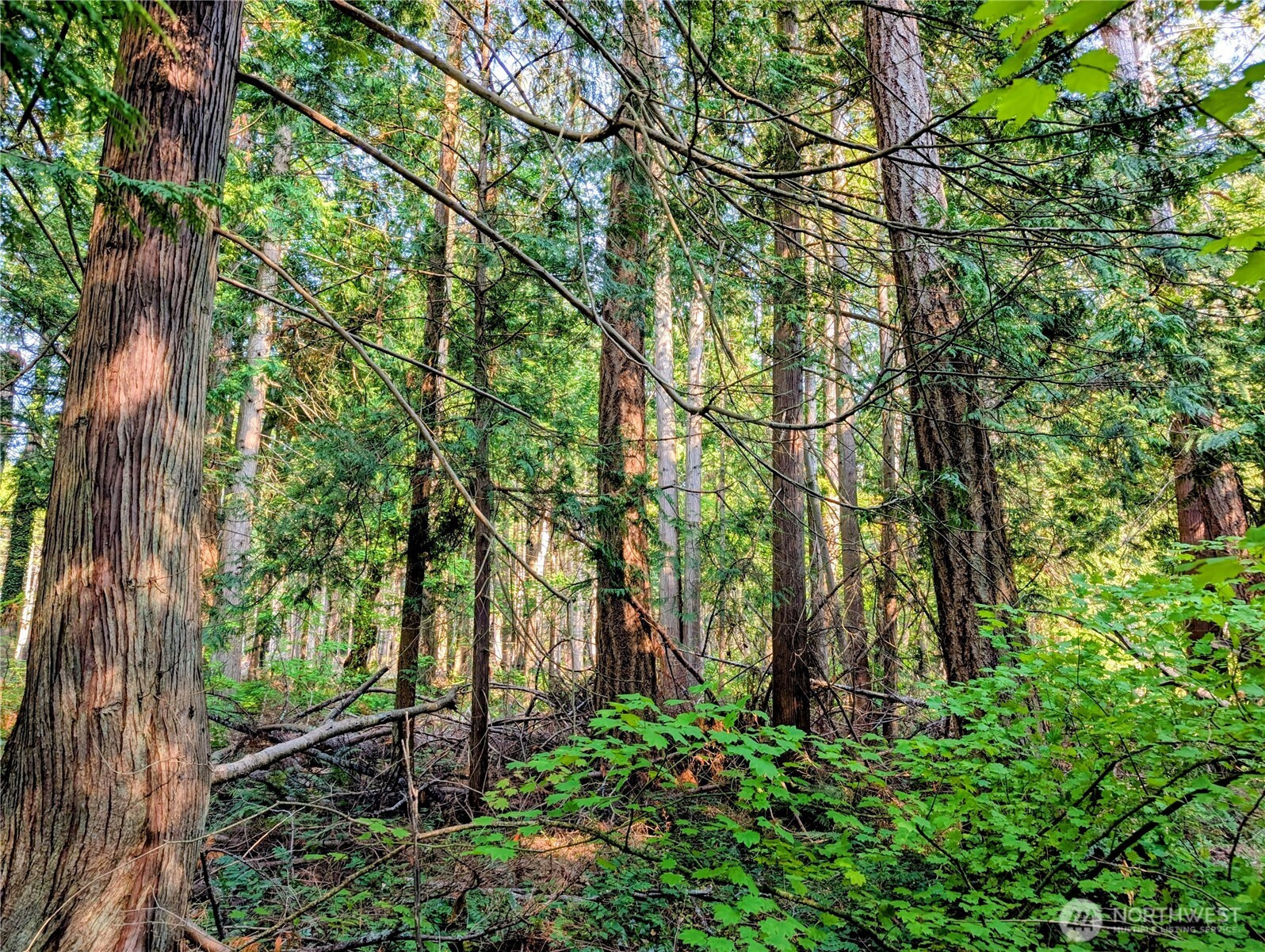 2 Mill Road, Point Roberts, WA 98281
