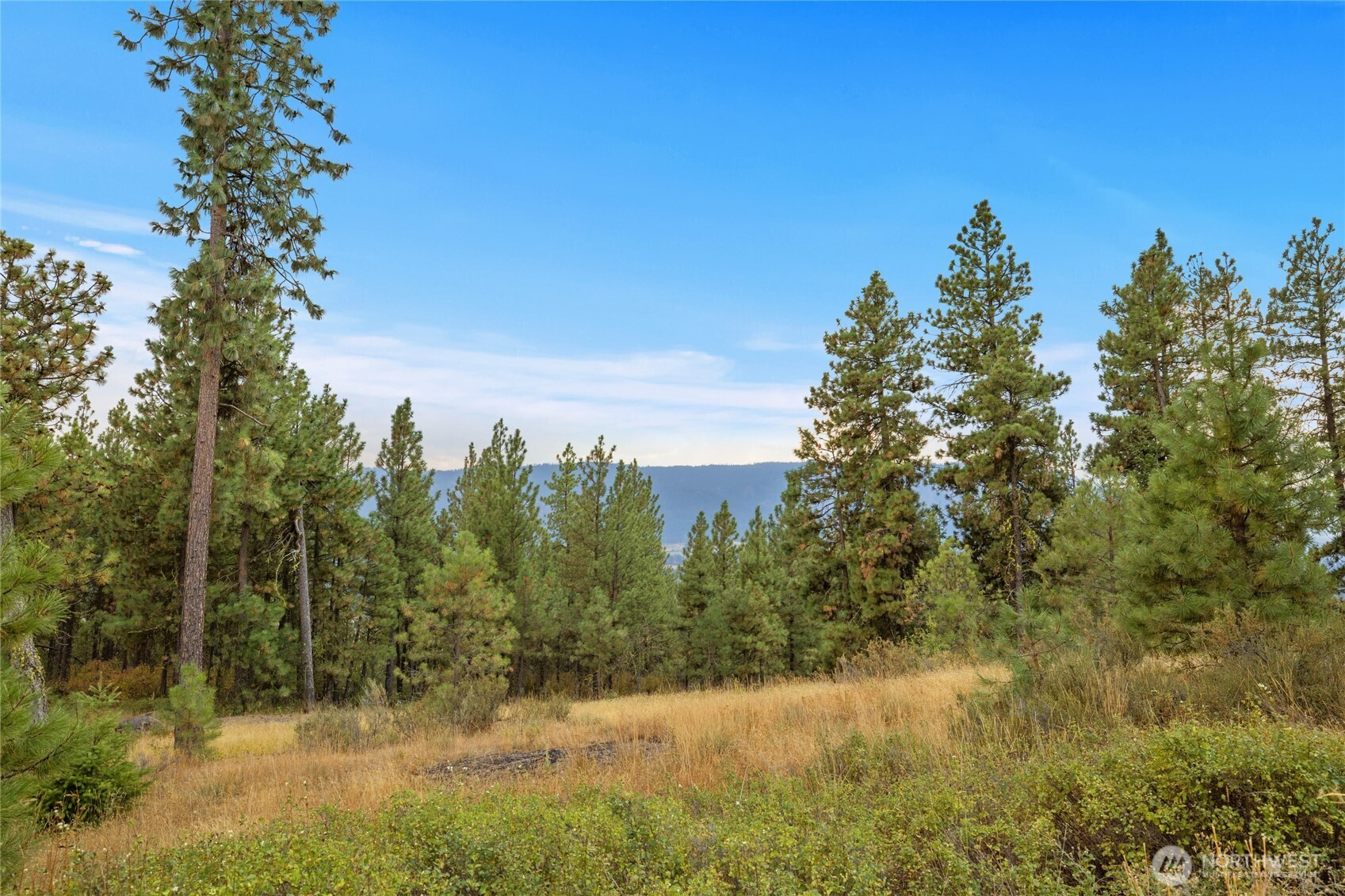 0 Owl Ridge Dr, Cle Elum, WA 98922