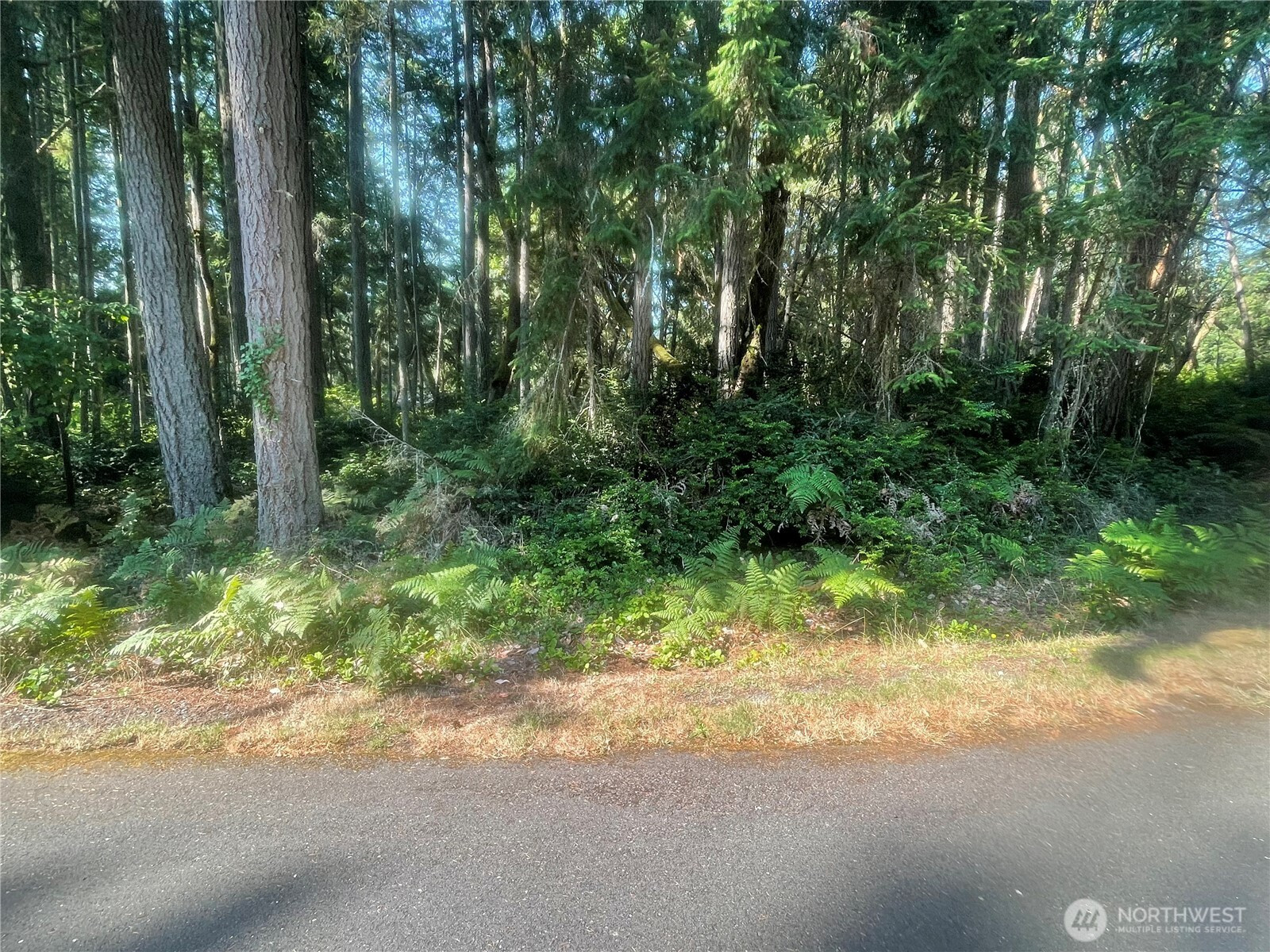 10416 107th Avenue Ct, Anderson Island, WA 98303