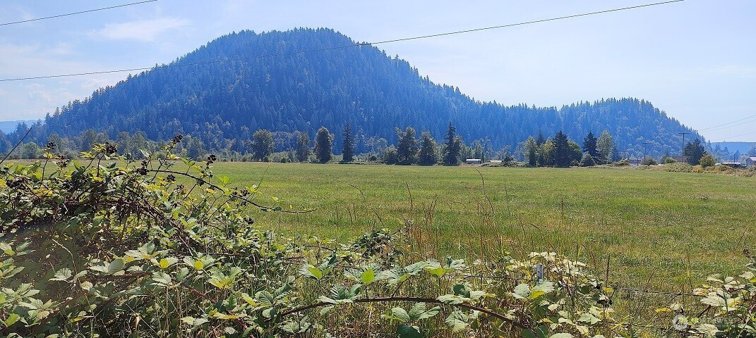 46502 268th Avenue SE, Enumclaw, WA 98022