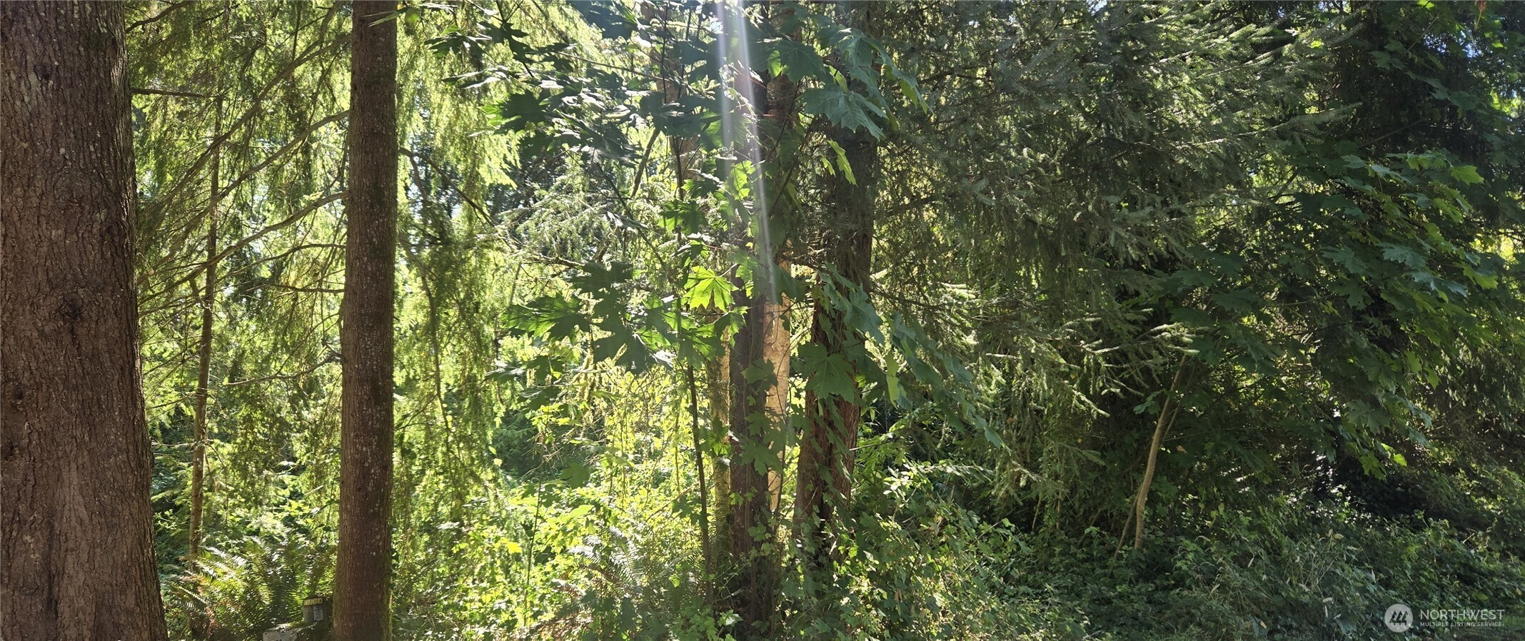 0 Highland Drive, Montesano, WA 98563