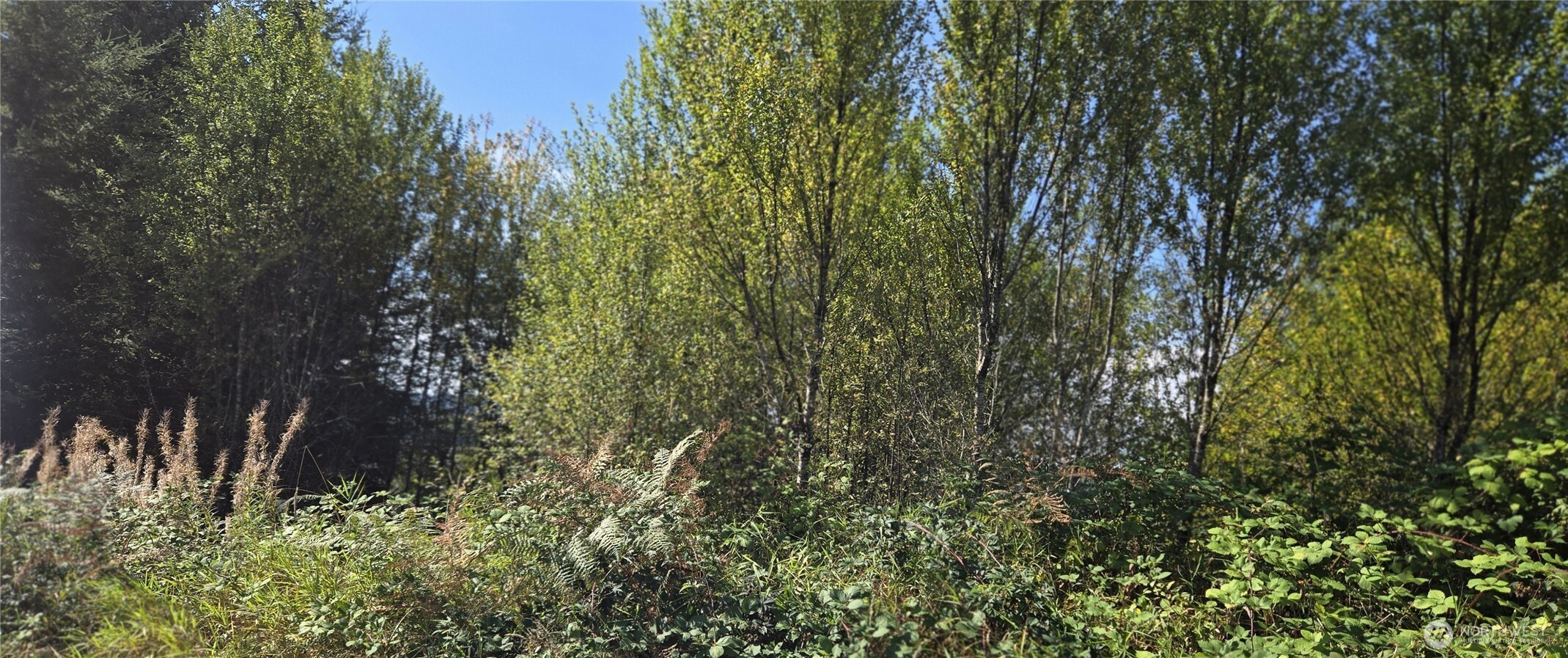 0 Fairview Court, Montesano, WA 98563