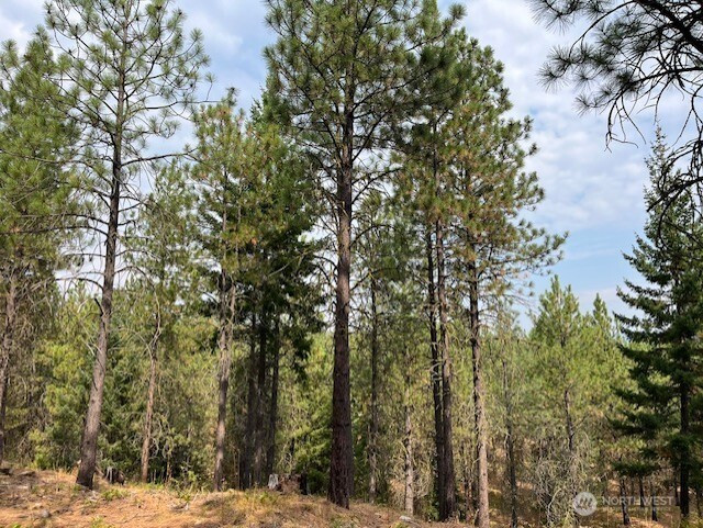 20 Gold Leaf Lane, Cle Elum, WA 98922