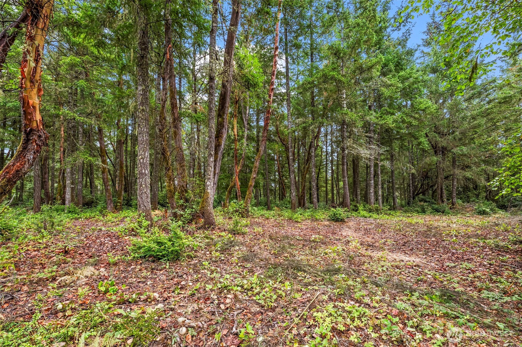 17420 74th Street NW, Vaughn, WA 98394