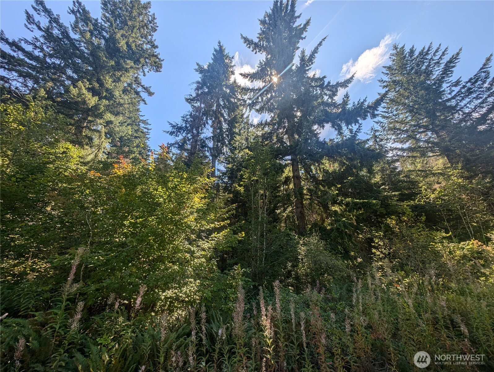 999 Hwy 101 Highway, Beaver, WA 98363