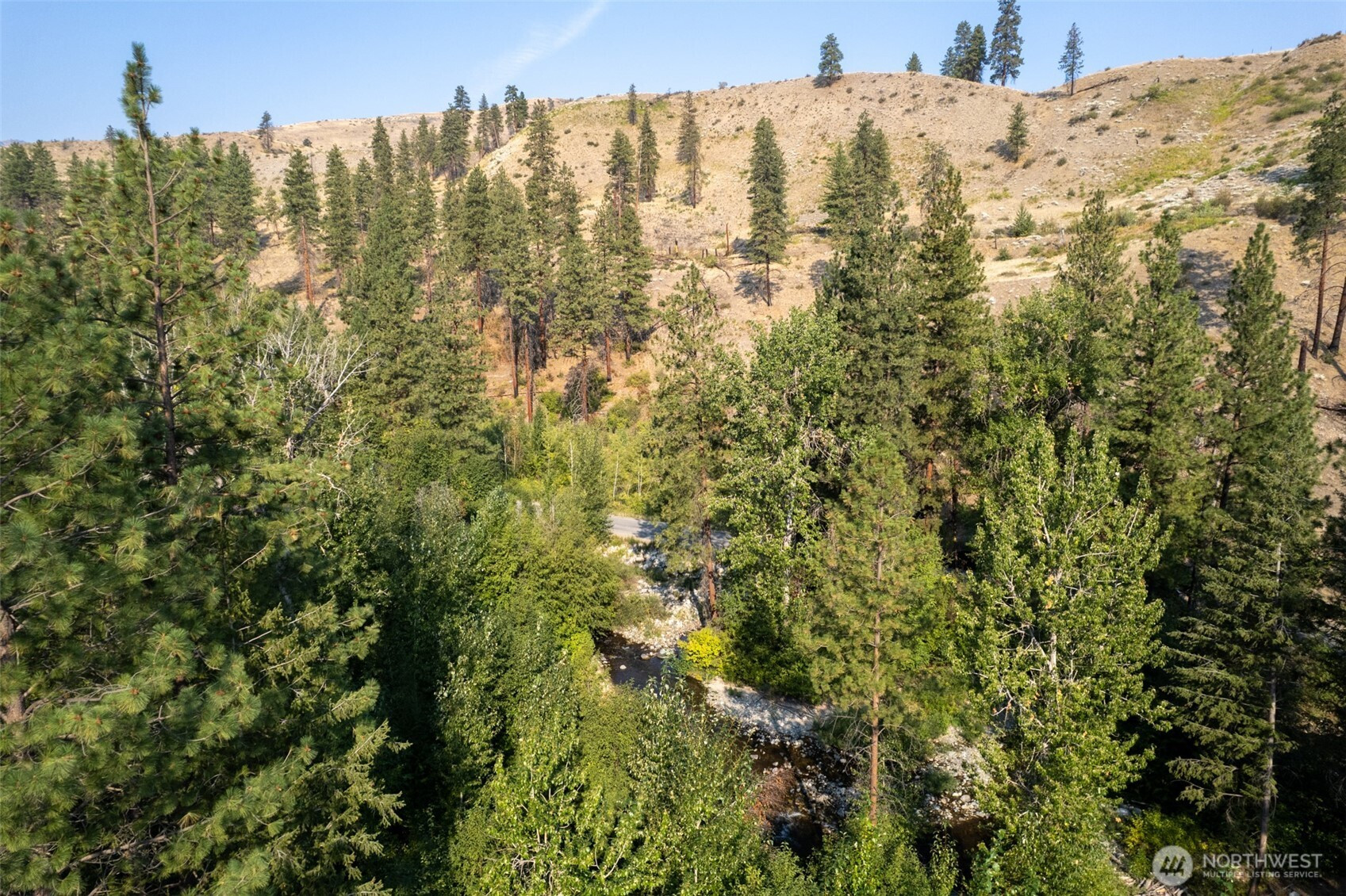 88 TBD Gold Creek Road, Carlton, WA 98814