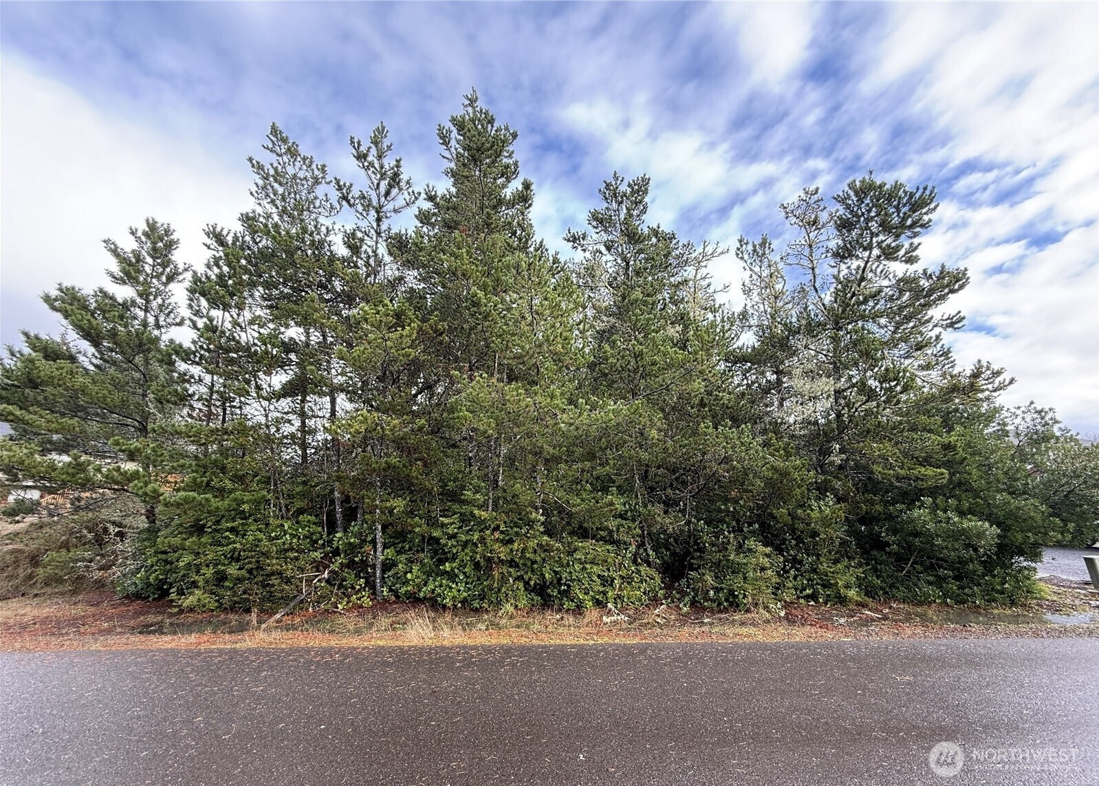 254 NE Olympic View Ave, Ocean Shores, WA 98569