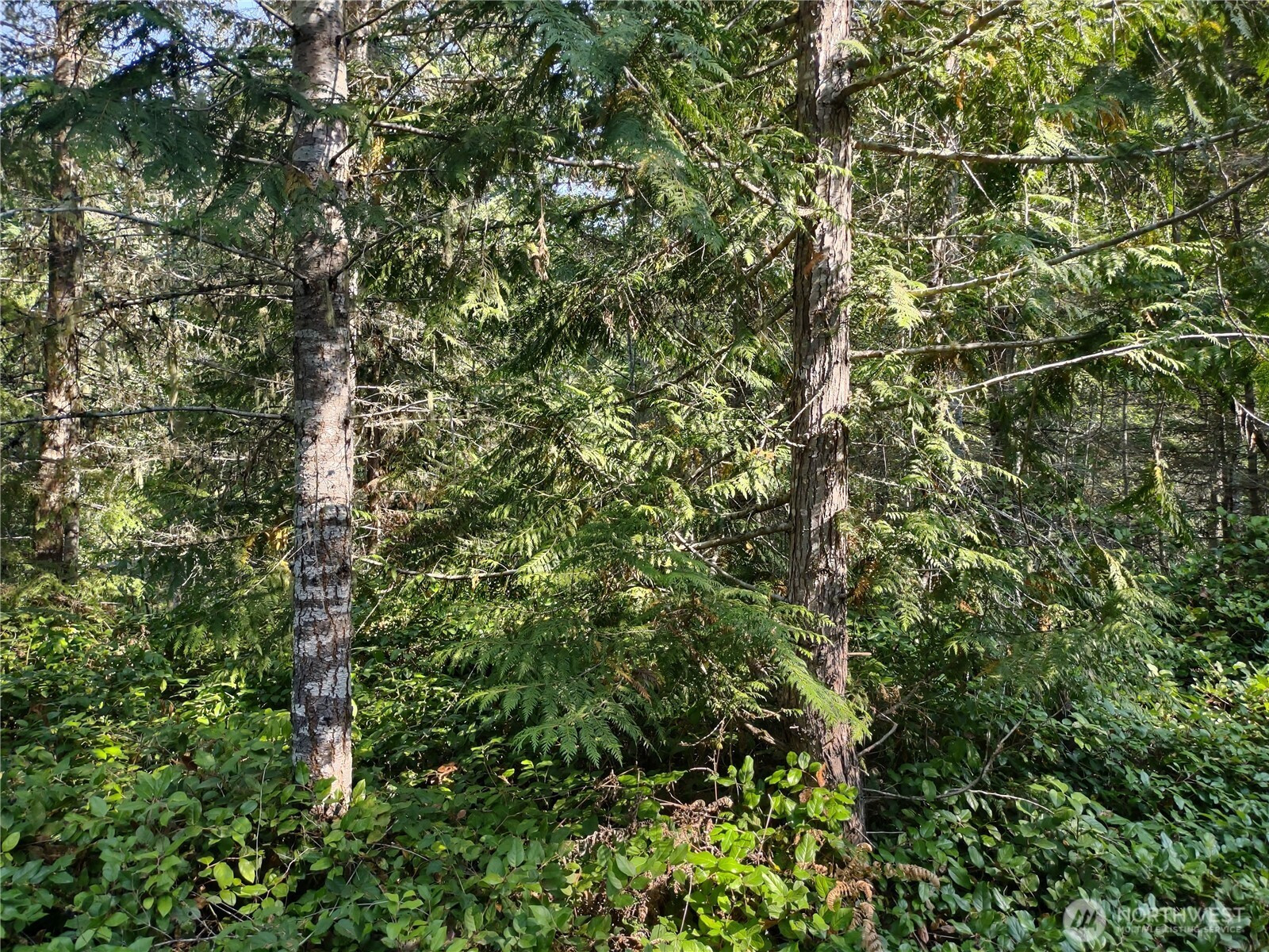 0 Blue Valley Road, Port Angeles, WA 98362