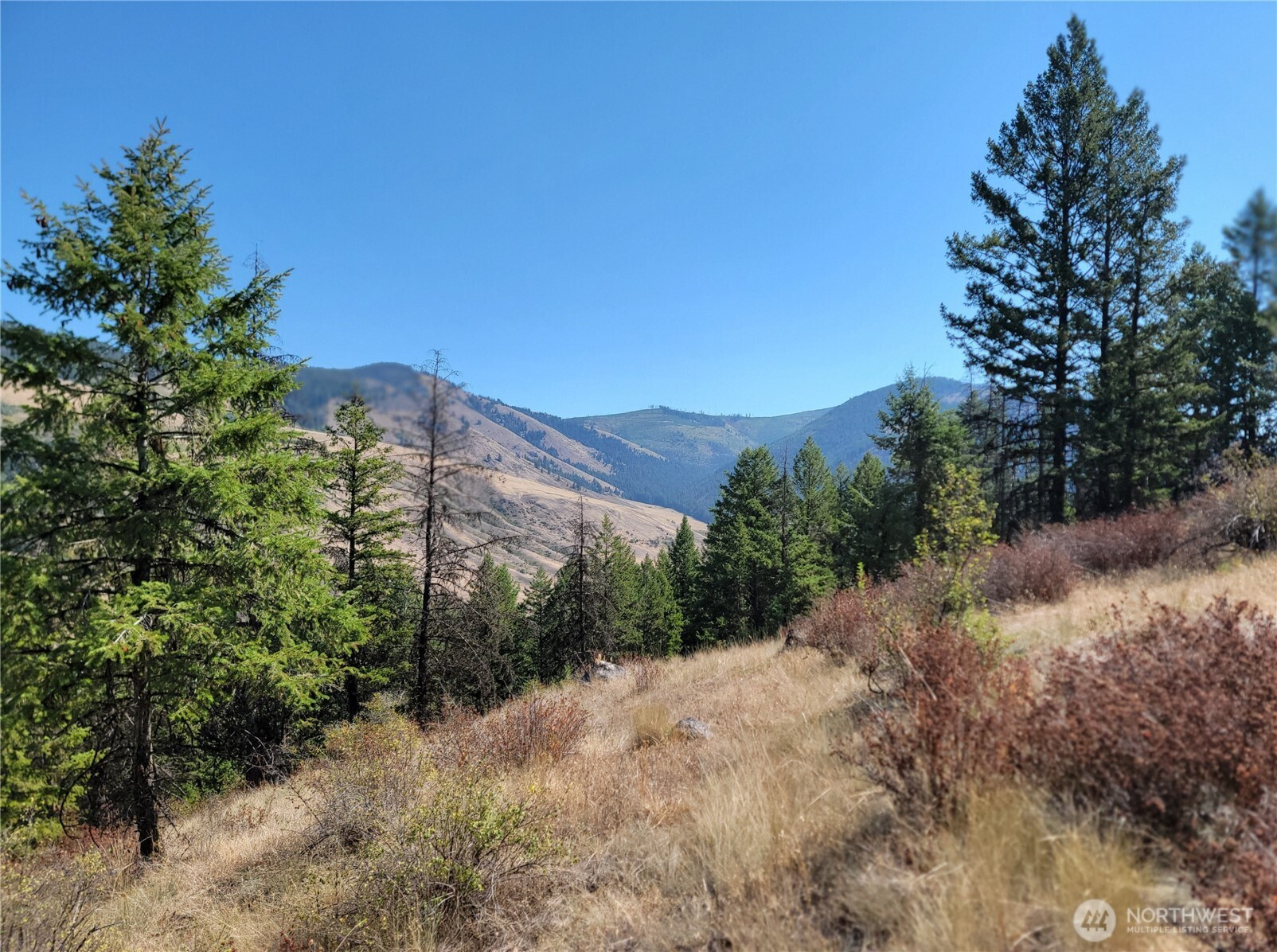 9999 Lone Ranch Rd, Danville, WA 99121