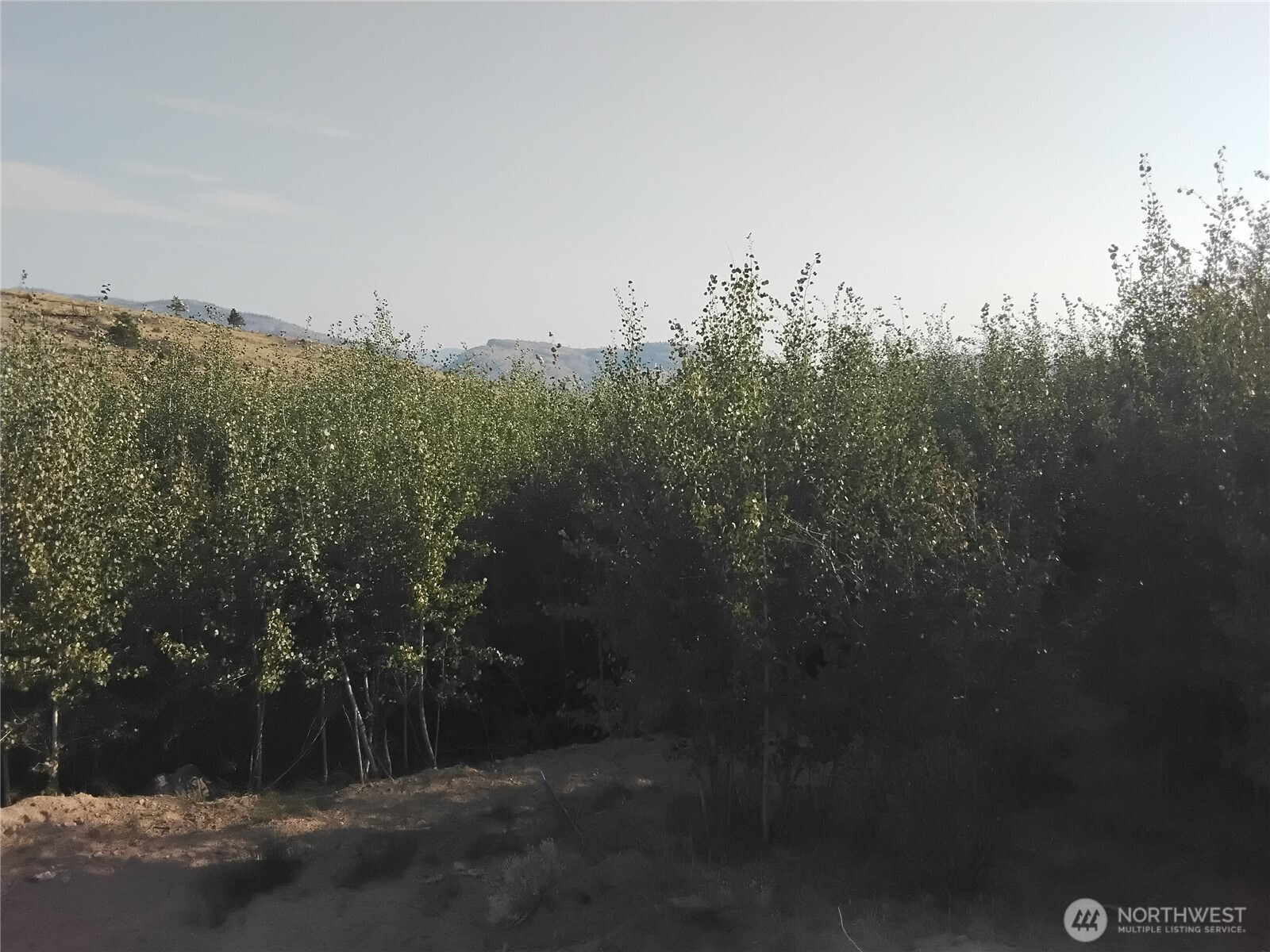 5 Painted Rock Road, Tonasket, WA 98855