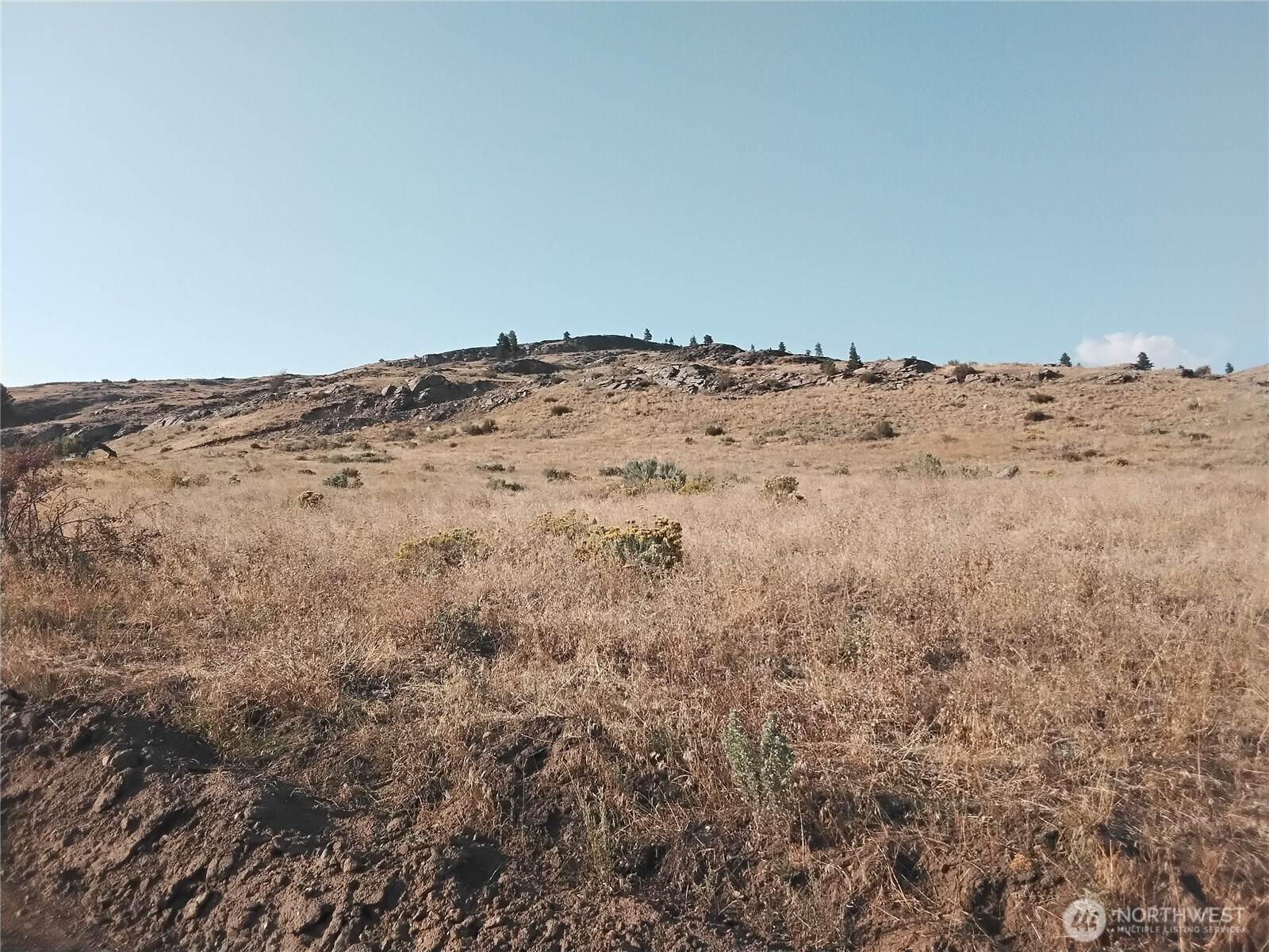 6 Painted Rock Road, Tonasket, WA 98855