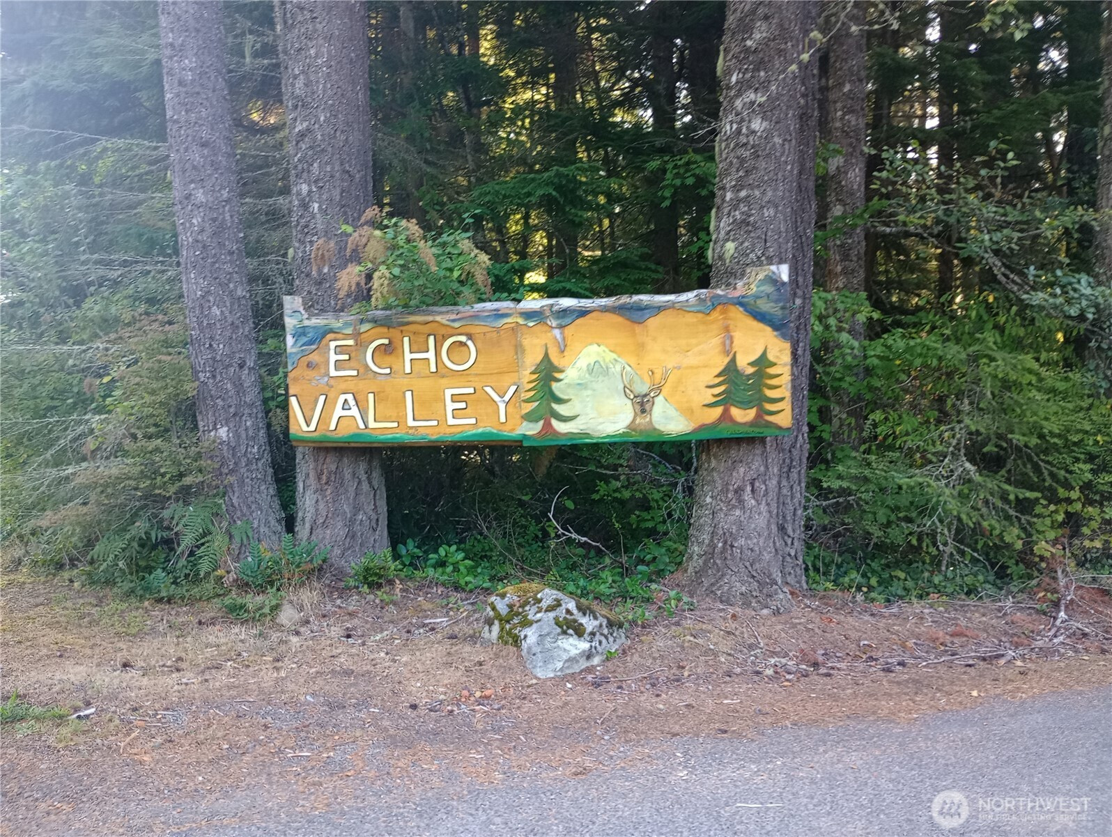 31401 556th, Ashford, WA 98304