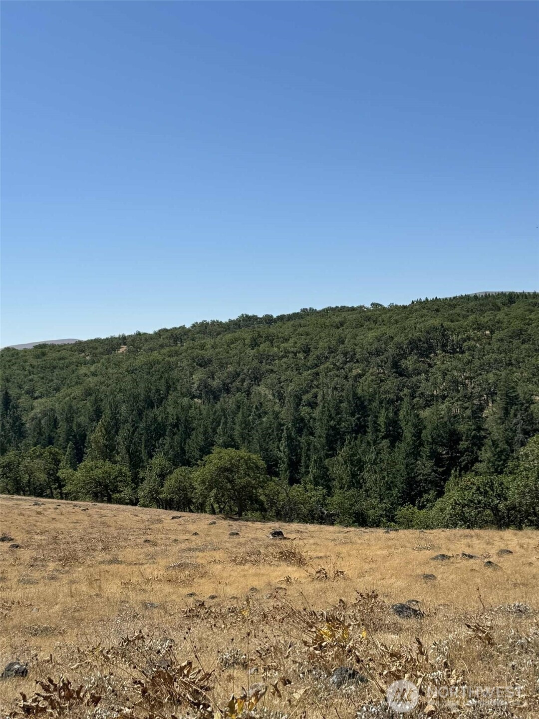 0 Parcel #03140400000200, White Salmon, WA 98672