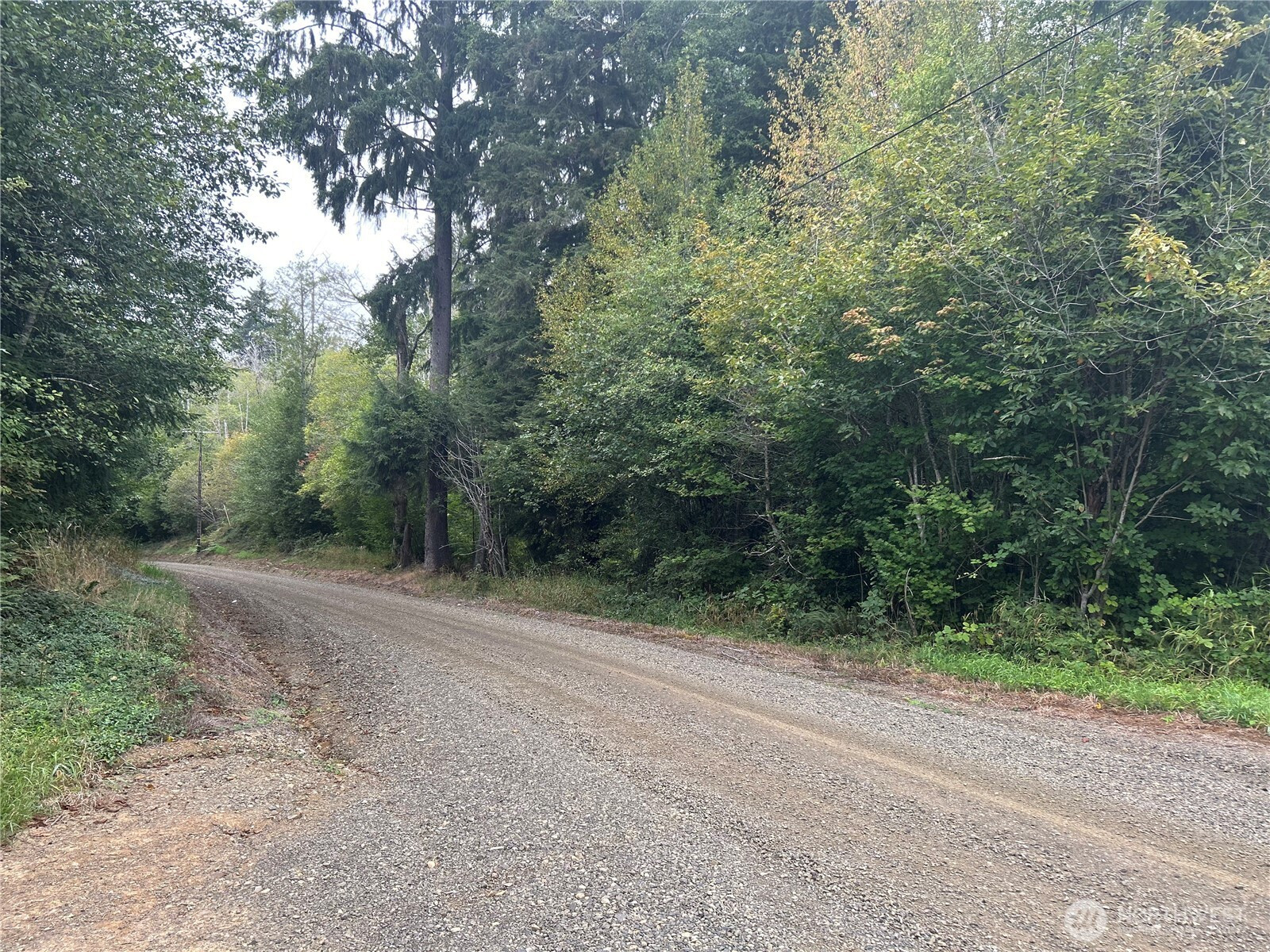 360 Mudgett Mountain Road, Montesano, WA 98563