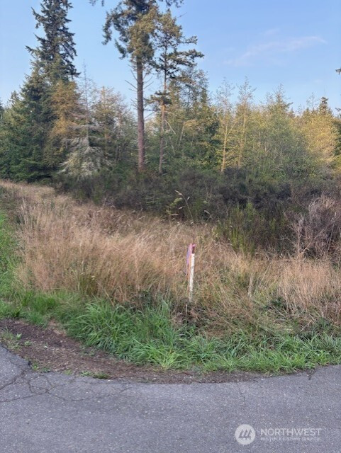 52 Moonkist Terrace, Sequim, WA 98382
