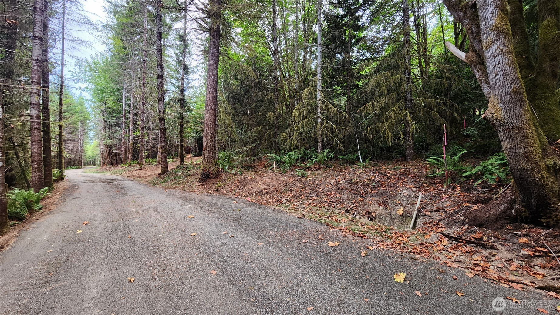 5704 Duane Lane NW, Olympia, WA 98502