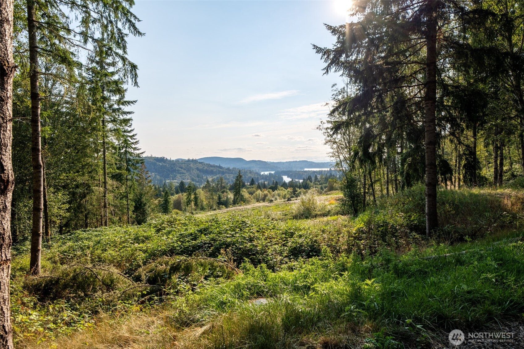189 Kjesbu Road, Silver Creek, WA 98585