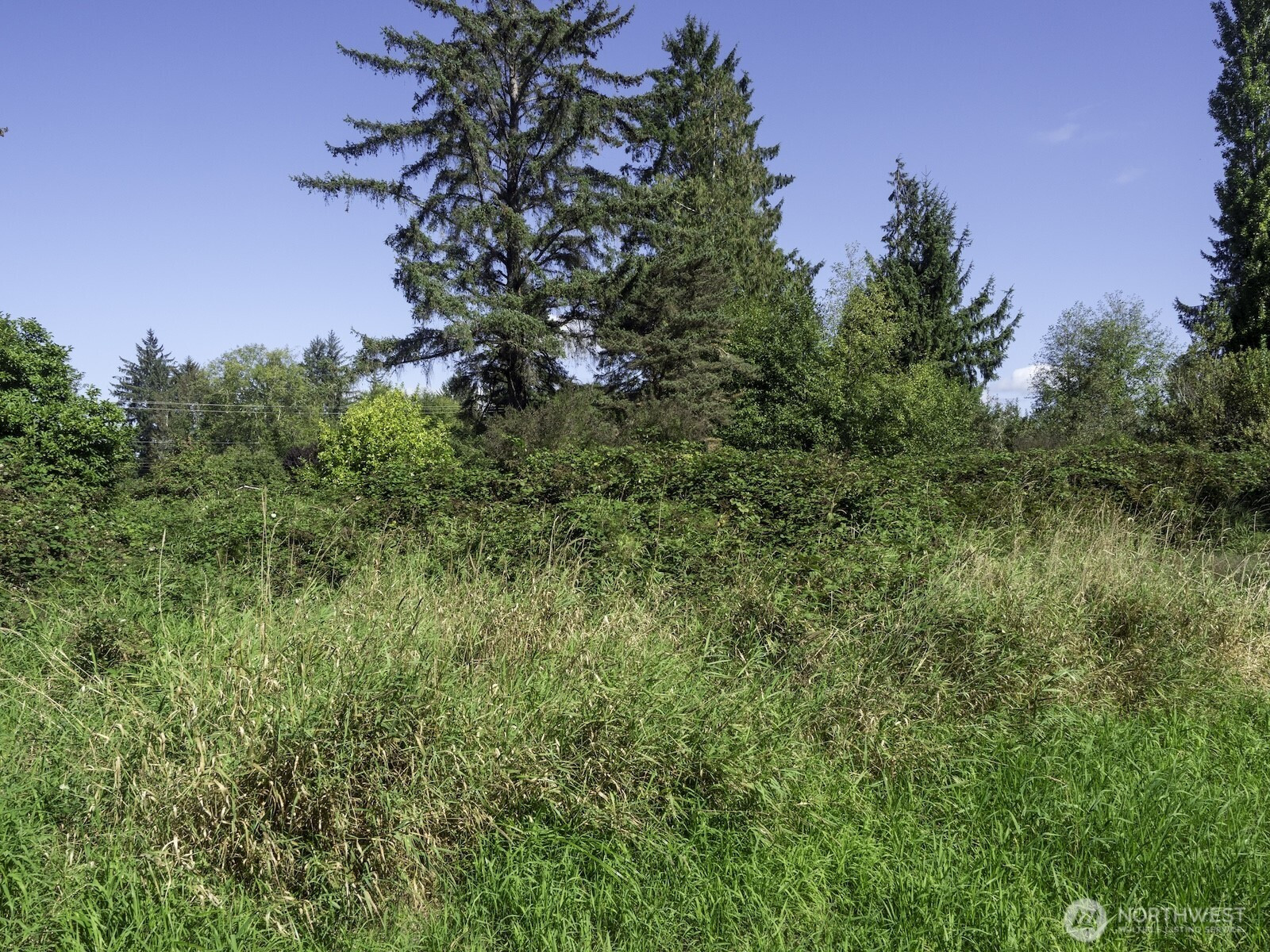 300 W Baldwin, Aberdeen, WA 98520