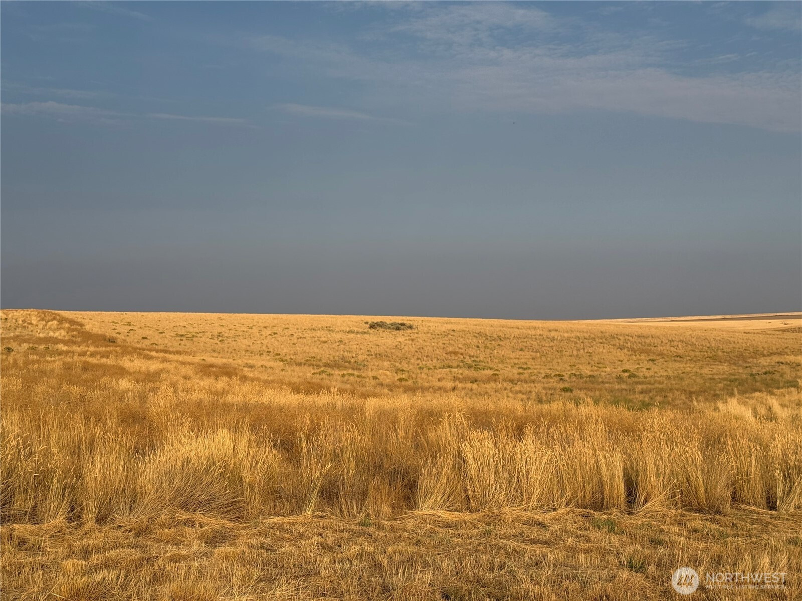 0 TBD, Wilson Creek, WA 98832