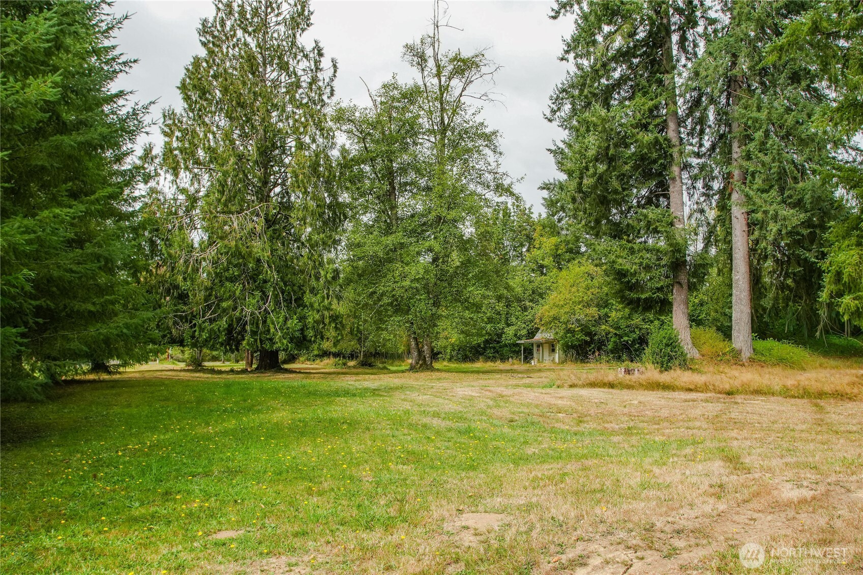 459 Viewridge Road, Onalaska, WA 98570