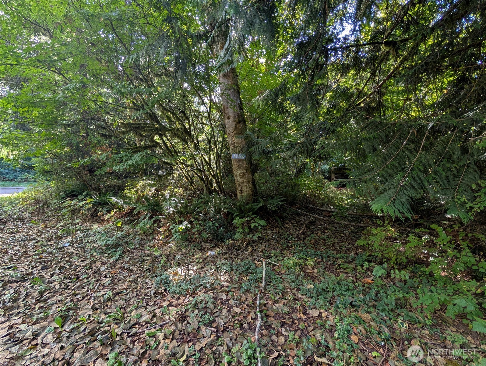 41664 N Shore Lane, Concrete, WA 98237