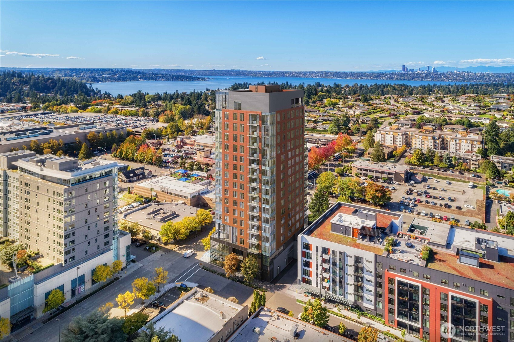 10232 NE 10th Street, Bellevue, WA 98004